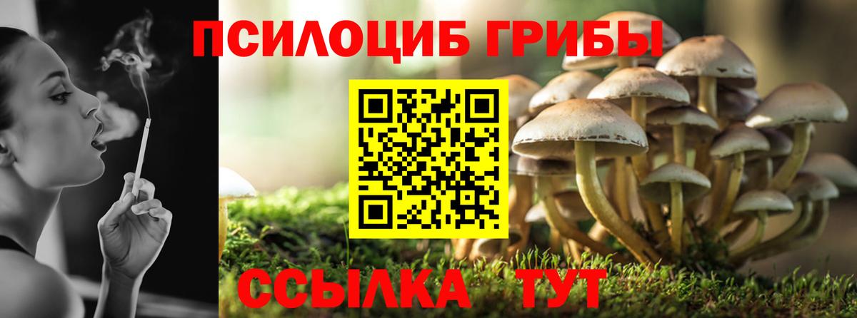 Дятьково  Псилоцибиновые грибы Cubensis  купить   Вход с VPN 